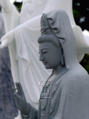 z5952524727785 200c0fc5dc1cfc305d642ac1ce230902