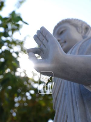 z6351401928910 c099289c99b6bacddd8c803fd8b48ecb